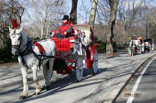 New York Carriage Horses Get Raises, 5-Week Vacations