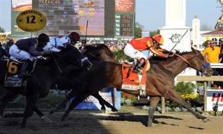 Lookin At Lucky Wins Preakness (Over First Dude)