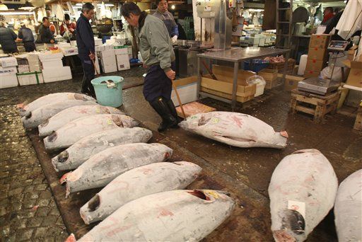 Oceans May Be Out of Fish by 2050