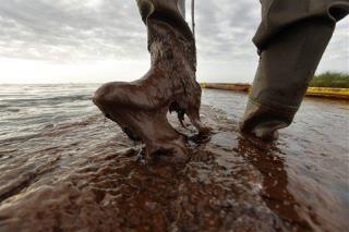 Gulf Oil Spill Worse Than Katrina: Poll