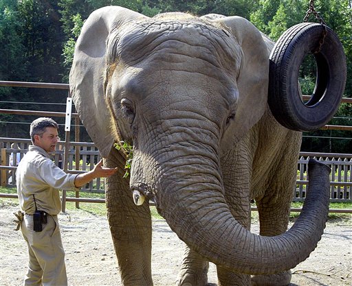 Alaska Elephant Retires to SoCal
