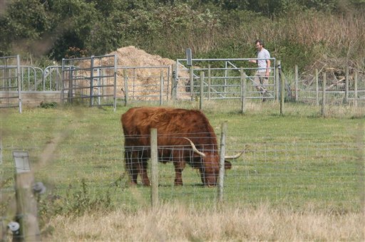 UK Farmers Facing Tax for Cattle Outbreaks
