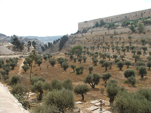Diggers Unearth Key Bible Wall