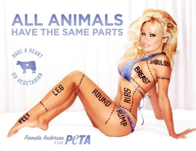 Canada Bans Pam's PETA Ad