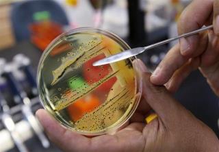 UK Sees New Superbug, Blames Medical Tourism in India
