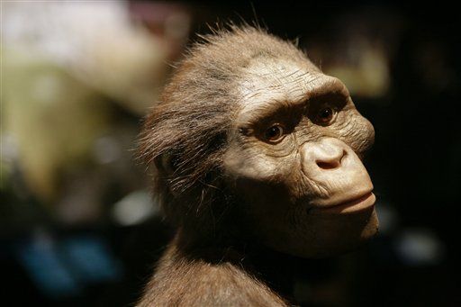 Ape With a Knife Changes Human History