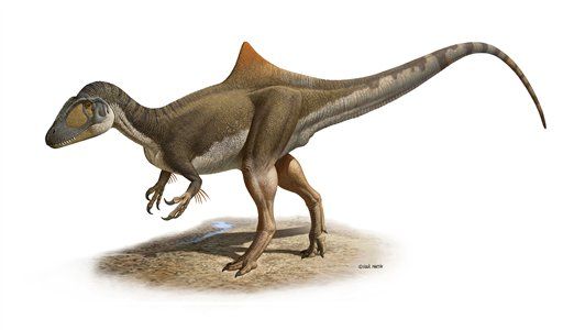 Hump-Backed Feathered Dino Discovered