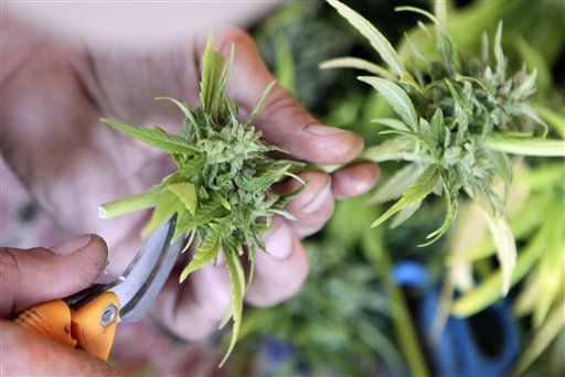 New Marijuana Lobby Group Hits Washington