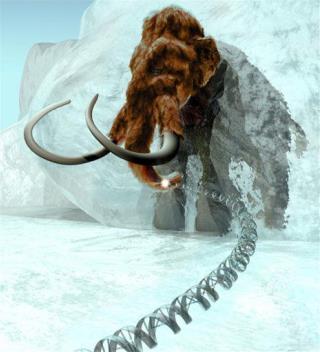 Woolly Mammoth Could Soon Be Resurrected