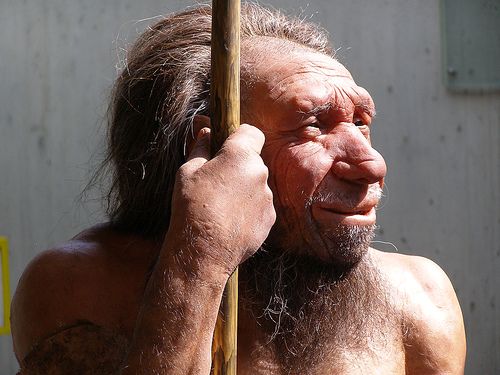 Unlocking the Mystery of Neanderthals' Big Nose
