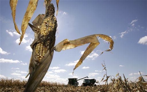 Robert Shiller: Farmland Bubble Could Be Next