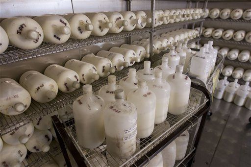 Japan Radiation Found in US Milk