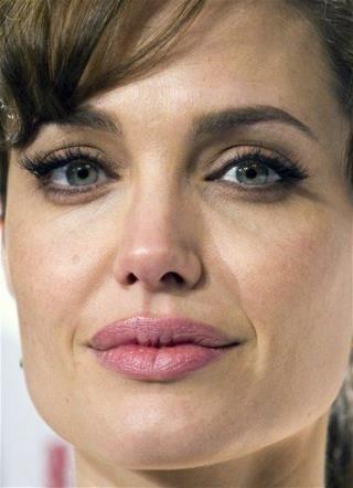 Angelina Jolie Snag $10M Louis Vuitton Deal