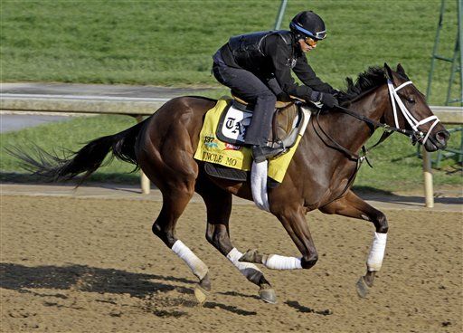Will Kentucky Derby Racehorses Pee Like Racehorses?
