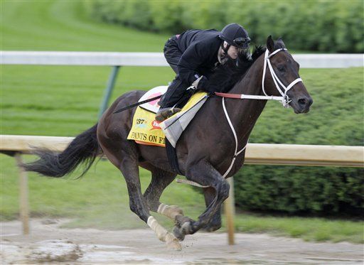 Rosie Napravnik Hopes to Become First Woman to Win Kentucky Derby Today Aboard Pants on Fire