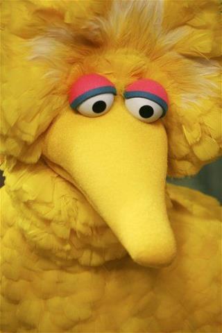 Big Bird's a Pinko, Charges Writer