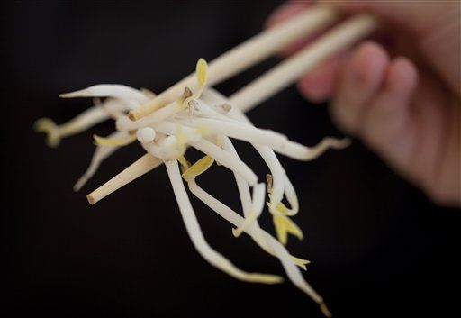 Germany: Bean Sprouts Probably Not to Blame for E. Coli Outbreak