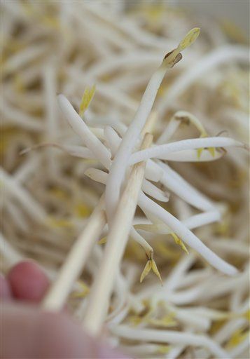 Germany on European E. Coli Outbreak: Actually, It Was the Bean Sprouts