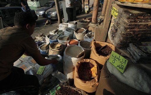 Egypt's Fenugreek Seeds Blamed in Europe's E. coli Crisis