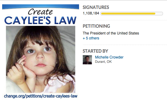 'Caylee’s Law' Sounds Like a Good Idea—but It Isn't