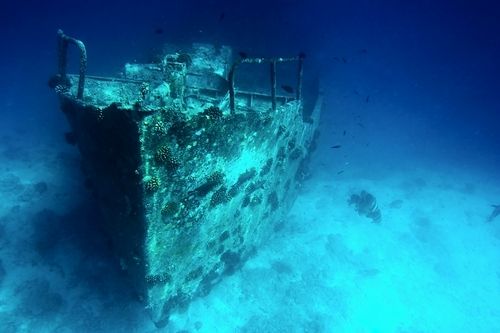 Navy Battleships Sunk to Provide Artificial Reef Habitats: Could Be Harming Environment, Scientists Worry