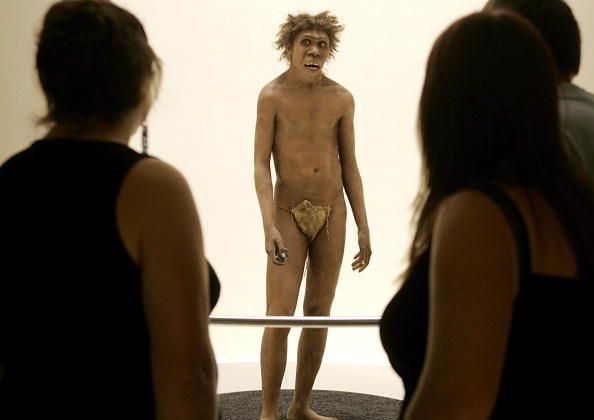 'Human Invasion' Killed Off Neanderthals