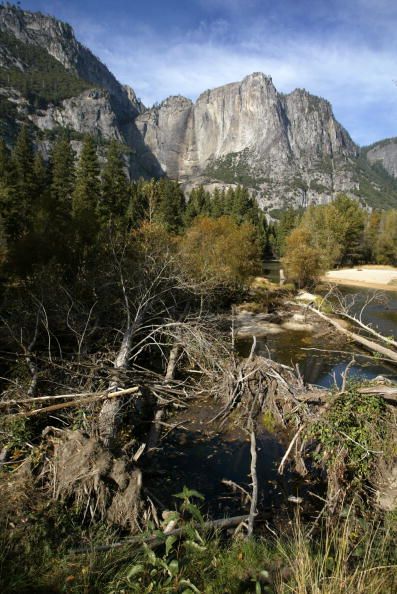 What's Behind Spike in Deaths at Yosemite?