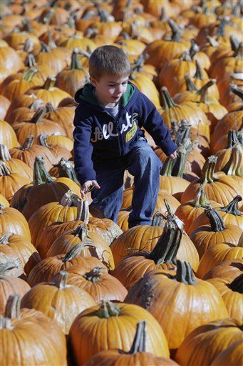 Irene's Belated Cruel Blow: Pumpkin Shortage
