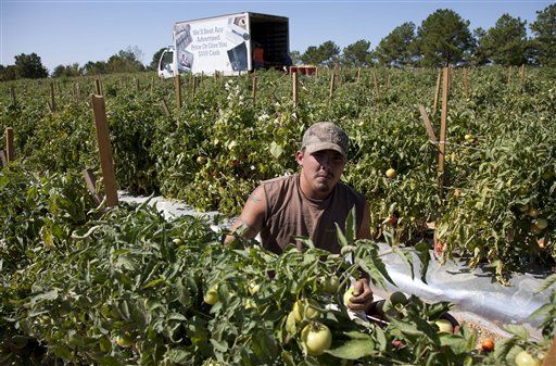 Hire Local? Farmers Who Seek US Workers Hit Hard