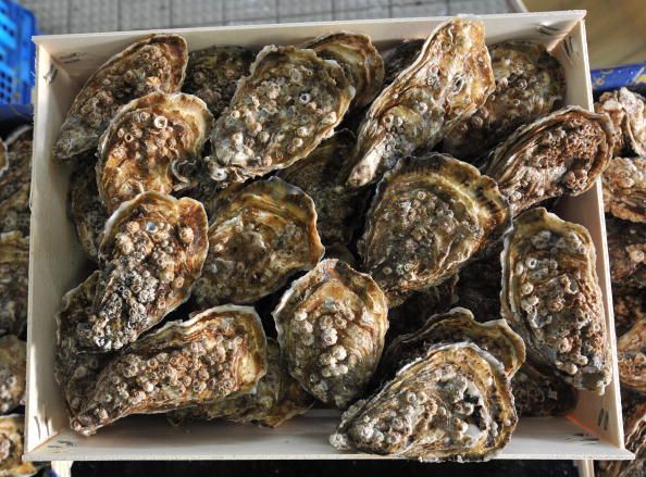 Oysters From French Region of Brittany 'More Precious Than Pearls'