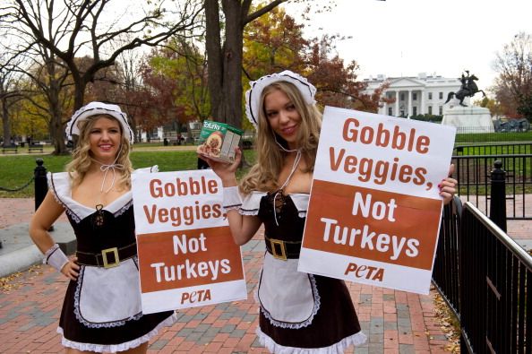 PETA Serves 'Baby' for Thanksgiving Dinner