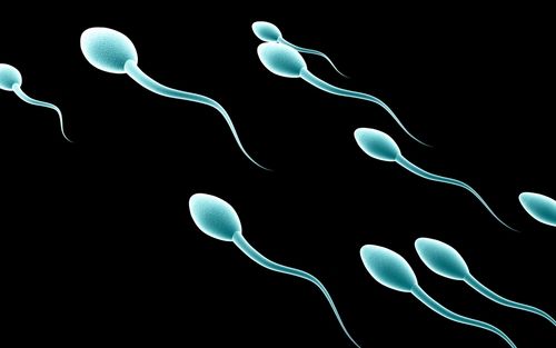 Contraceptive Sperm Zap in the Works
