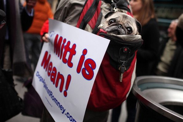 Why I Won't Shut Up About Mitt Romney's Poor Dog