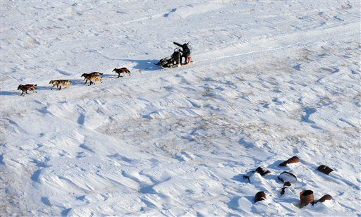 Youngest Musher Ever Wins Iditarod
