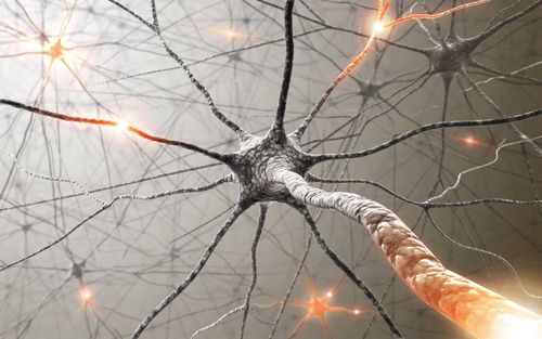 New Brain Scan Tests for Alzheimer's