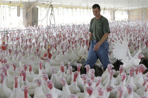 FDA to Require Prescriptions for Livestock Antibiotics