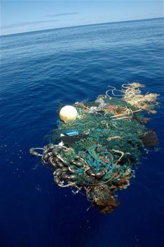 Plastic in Pacific Has Grown 100-Fold Since 1970s