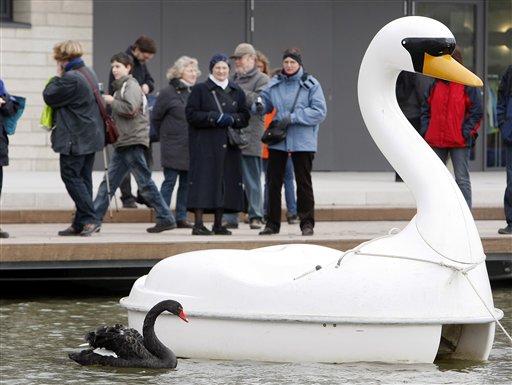 Swan-Boat Romance Takes Wing (Again)