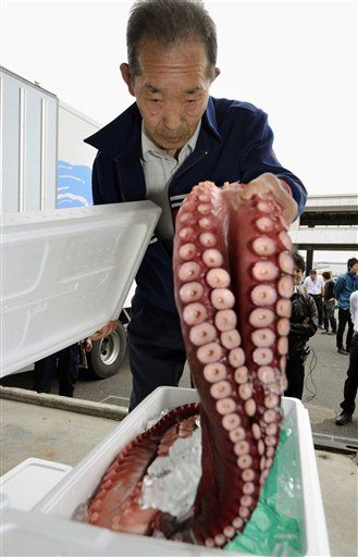 Fukushima Fish Go on Sale
