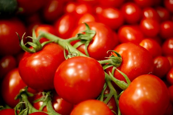 Why Supermarket Tomatoes Have No Taste
