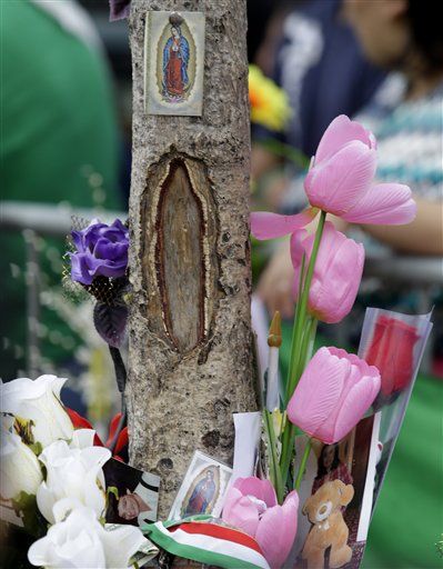 'Virgin Mary Tree' Sparks Knotty Problems