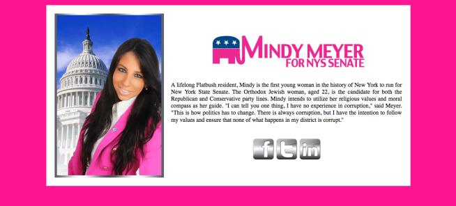 Senate Candidate's Pink Website Is Totes Serious