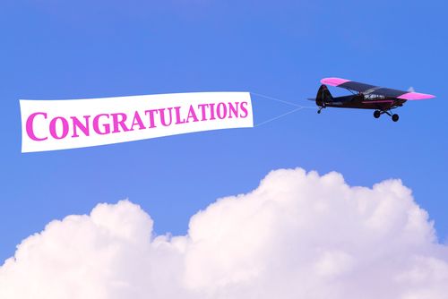 Plane Towing Marriage Proposal Banner Crashes