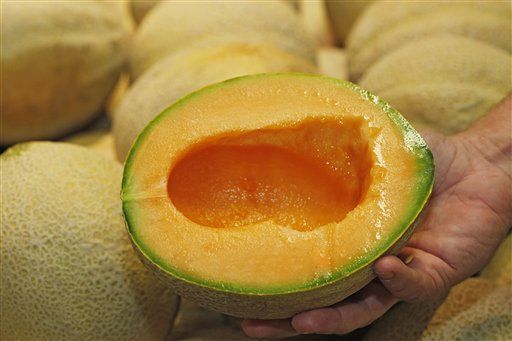 Indiana Melons Linked to US Salmonella Outbreak