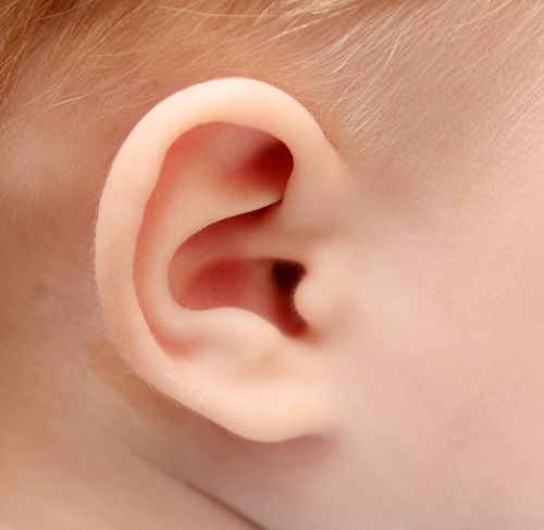Scientists Discover Deafness Gene