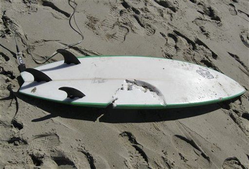 Shark Attacks Calif. Surfer