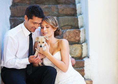 Keys to Longer Life: Puppy, Spouse