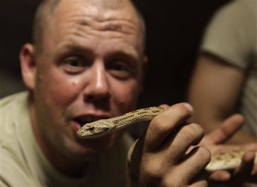 To Save Troops From Deadly Snakes, US Relies on ... Iran