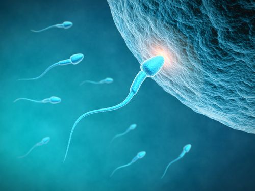Kansas: Sperm Donor Mom Lied for Child Support