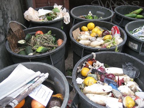Nearly Half of Planet's Food Ends Up in the Trash